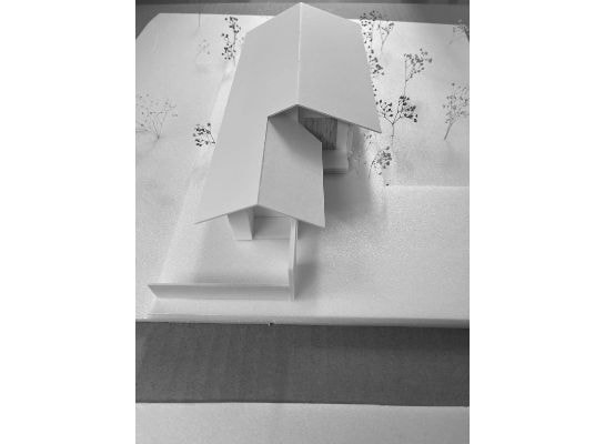 tp_img_8431.jpg