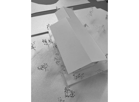tp_img_8433.jpg